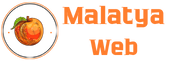 Malatya Web | Web Site Tasarımı | Seo Hizmeti
